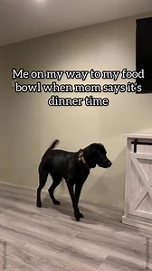 34K views · 995 reactions | Me when the waiter is walking out with my food  | BULLYMAKE | Facebook