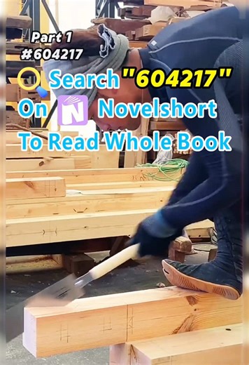Engaging Novel Short Stories: Part 1 Summary