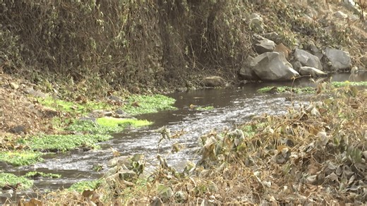 West Virginia American Water in talks to take over Fayette County sewage