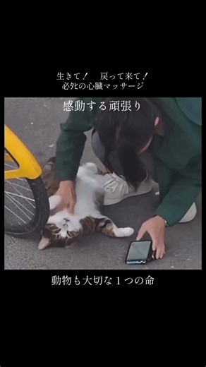 @⚤ smile ⚤ #smile #笑顔 #happy #新潟