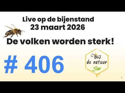 406 live with the bees - The colonies are getting strong