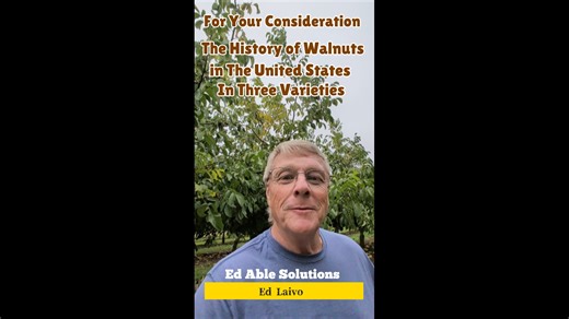 Walnut History In the United States Covered In 3 Varieties. How about Walnuts? My Chestnut videos has not had much play so I thought maybe a different type of nut would be more appreciated. The English Style Walnut that we all know and love can be easily covered in 3 varieties that have remained consistent for the last 150 years. Many other varieties have been introduced to a lesser degree, but the Franquette, Hartley and the Chandler have commanded, at one time, the Walnut market through most o
