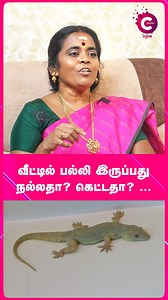 231K views · 4.1K reactions | Lizards in house: Good omen or bad? Find out the astrological significance! | Astrologer Jayanthiravi #lizard #lizardsinhomemysignificance #lizardastrology #vastu #vastutips #vastuforculture #vastushastra #astrologyfacts #spiritualmeaning #hindumythology #astrologerjayanthiravi #goodomen #badomen #AstrologerJayanthiravi #cosmoreels #cosmoview | Cosmo View | Facebook