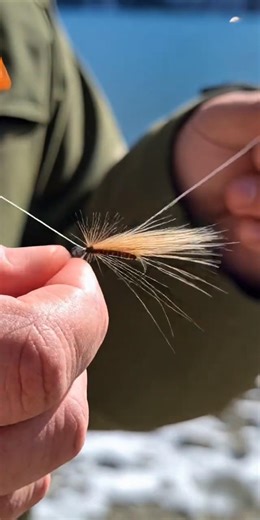 Swiss Alps fly fishing Brook Trout Elk Hair Caddis pattern high altitude lakes rivers creeks streams