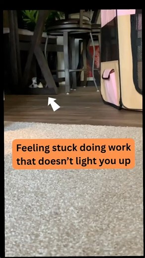 Most people dont hate work, they hate the wrong kind of work, the wrong kinds of working environments and even the wrong kinds of incentives. Your energy comes alive when your personality matches your hustle. If traditional work feels draining, maybe it's time to explore how your traits and personality align with alternate ways of making money. (Paid studies, digital freelancing, reselling items or gig apps) you'll show up more naturally and earning will come more easily. Get your guide in the b