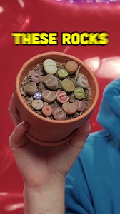 24K views · 485 reactions | These Products Are WEIRD Full video:...