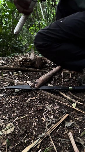 Master Primitive Fire Making Techniques with Rope and Wood