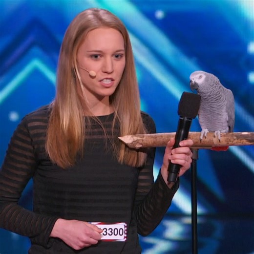 Wild and Wacky Animal Auditions on America's Got Talent! 🦜🐶🐢 | Animals Got Talent