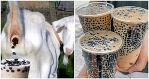 Debunked: Viral social media post claims goat feces used in bubble tea in China