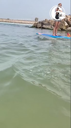 What a day! 🌞 Time for a #standuppaddle 🏄 - - - - - #sup #paddleboarding #paddle #suplife #standuppaddleboarding #paddleboard #standuppaddleboard #standuppaddling #surf #watersports #nature #stand #summer #up #isup #suplove #adventure #sea #surfing #gopro #supboard #sunset #beach #paddlesurf #supsurf #paddlelife #standup #ocean #travel | Ocean Addicts