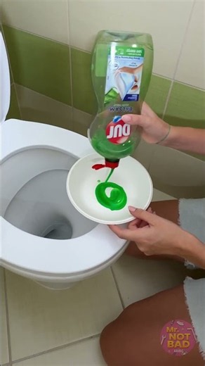 Creative Toilet Cleaning Hacks and Tricks