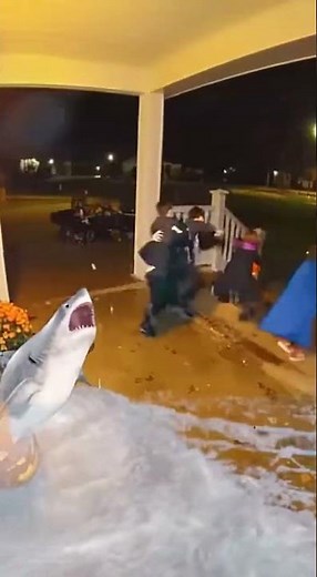 When Your Shark Can’t Even Swim on Land 🦈😂 | Porch Watch Halloween Fail
