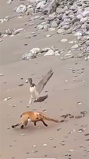 #quran #القران كلام الله سبحانه وتعالى Haramin Melodies--