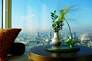 SPG アメックスの利用でプラチナ会員資格取得　スイートへのアップグレードと無料のラウンジ利用 - ANAとマイルのパパじゃない