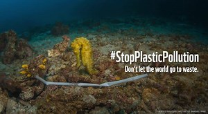 9.5K views · 253 reactions | Ask the world’s governments to take action now and stop the plastic crisis before it’s too late: https://wwfau.org/2T0Crea | WWF-Australia | Facebook