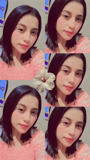 #flypシ 🌸