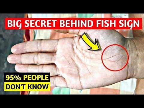 Meaning of Fish sign in hand | Fish sign in palmistry