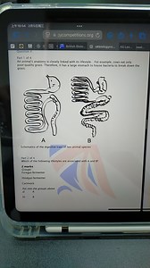 上午10：54 2月5日周ㅡㅡ0gycompetitions．orgBritish Biolo．．．ukbiology... | Filo