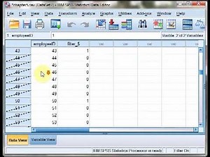 Random sampling in SPSS