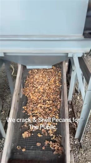 17 reactions | We crack & Shell Pecans for The Public in Bonham Tx. #followersreelsfypシ゚viralシfypシ゚viralシalシ #followerseveryone #reelsviralシfb #reelsfypシ #followersreels #reelsfacebook | Casie Partridge | Facebook
