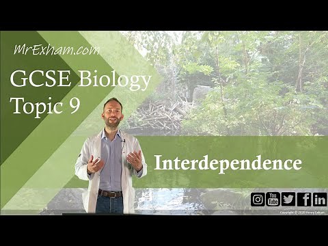 Interdependence - GCSE Biology (9-1) 9.3