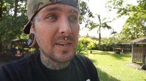 A tiny tortoise takes its first steps into a new habitat - a quiet moment caught on camera