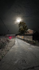 #NatureVideos #WildlifeWatching #NatureLovers #ScenicViews #NaturePhotography #ExploreTheWild #NatureVibes #BeautifulNature #OutdoorFun #CaptureTheMoment #EcoFriendly #NatureDocumentary #WildernessCulture #NatureInFocus #GreenPlanet #PlanetEarth #NatureAwareness #NatureIsArt #NatureAddict #InstaNature | The Beautiful Nature