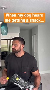 When my dog hears me grabbing a snack #goldendoodle #spookysnack #dogdad