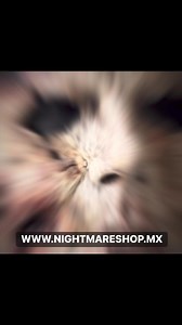 2.1K views · 23 reactions | ¡Directamente de Halloween de Rob Zombie llega DREAM MASK con licencia oficial!¡DISPONIBLE YA EN Nightmare Shop! | Nightmare Shop | Facebook