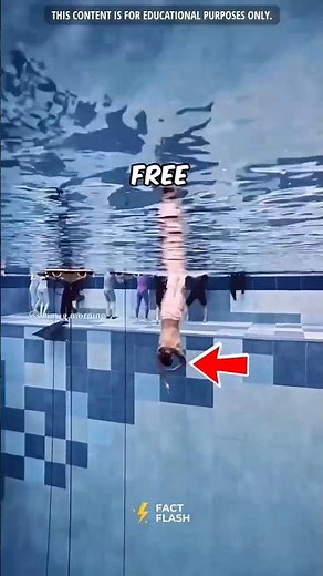 World Record Dive Without Oxygen! 🌊🔥