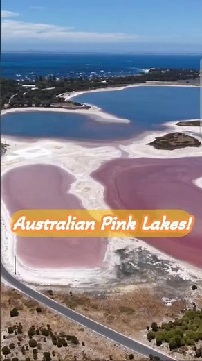 Australia's Pink Lakes Are REAL! 😱 5 Amazing Facts 🇦🇺🌸 #shorts #viral #australia #nature #lake #life
