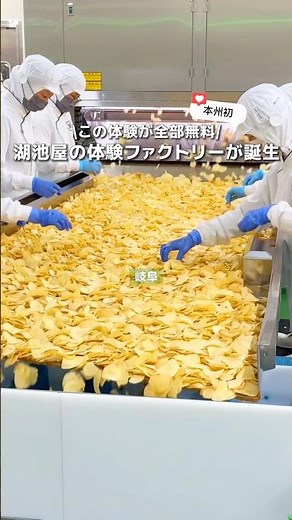 [Gifu] Honshu's First Koikeya Factory Tour & DIY Potato Chip Experience Is Now Open🏭