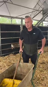 247K views · 7K reactions | Farmer Rob is live from the Roundhouse with Ruby, our heavily pregnant Shire Horse, is changing dramatically. We also check in with Silver and her filly, and the hungry lambs in our morning update. | Cannon Hall Farm | Facebook