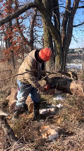 Efficient Wood Cutting Techniques for Winter Preparation