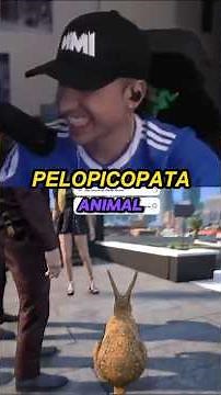 Pelopicopata #imantado #isidoro #marbellavice #risas #animales #troll #gta5 #roleplay #viral #parati
