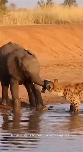 Amazing AI Wildlife Video with 100 Million Views