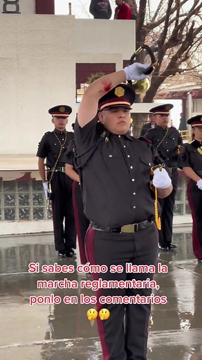 Marching Band Performance with Brass Instruments