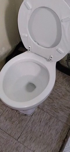 4.6K views · 106 reactions | ¡APRENDE PLOMERÍA PROFESIONAL‍ EN...