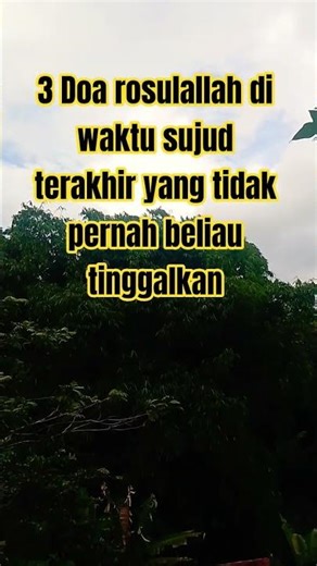 3 prayers of the Prophet Muhammad during his last prostration that he never left behind #shortvid...