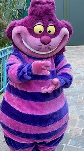 We met Cheshire Cat at Disneyland Paris during the Halloween season. We were the first in line, so he came straight to us on arrival. This is a meet that is extremely limited in hours and is located by the Casey Jr. #disneylandparis #dlp #dlrp #disneyhalloween #cheshirecat #disneycharacters #aliceinwonderland | Mousesteps
