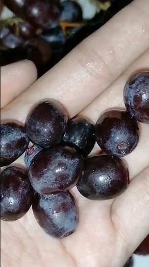 10 Amazing Health Benefits of Grapes You Need to Know!
