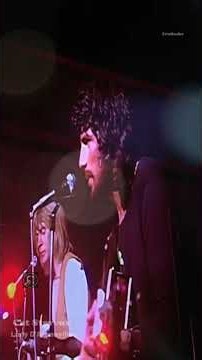 Cat Stevens – Lady D'Arbanville