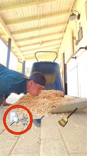 Oops! Trying different ways to clean up a spilled wheelbarrow. #Horsesandhumor #horse #equestrian | Evan’s Horses & Humor