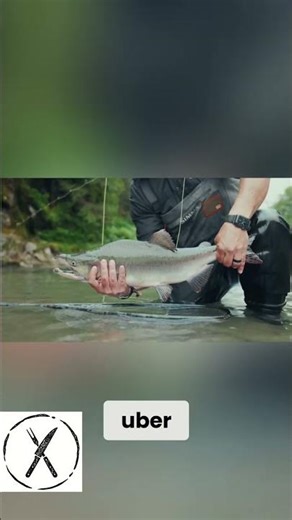 Finding a Fish on Every Cast in Sitka Alaska