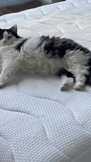 Get an Allstate renters quote in seconds starting at $5/mo. | Allstate