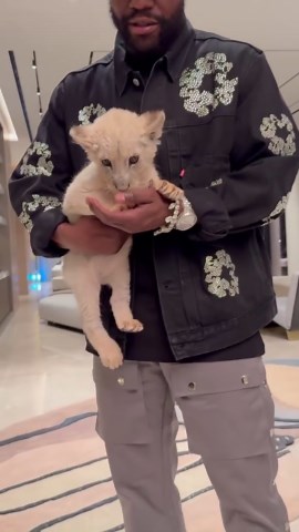 The fabulous life of Floyd Money Mayweather 💰