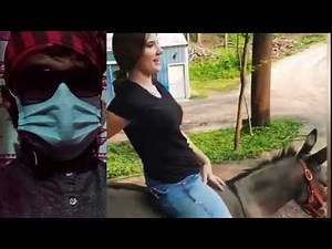 Two ladies donkey riding new video #highlights #viralvideo #donkey