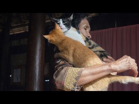 The two cats seem relaxed and trusting. One orange cat stretches comfortably in her arms,