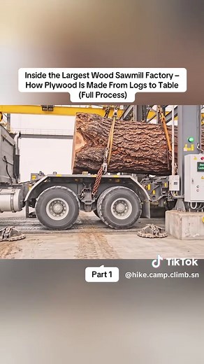 Inside the Largest Wood Sawmill Factory Process