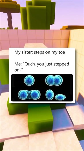 Why does this meme keep popping up 😭